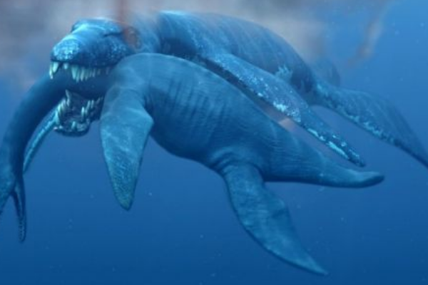 海洋暴龙:巨型蛇颈龙类生物(长15米/一口能吞下轿车)