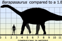 巨腿龙:印度超巨型恐龙(长18米/长有硕大腿骨)