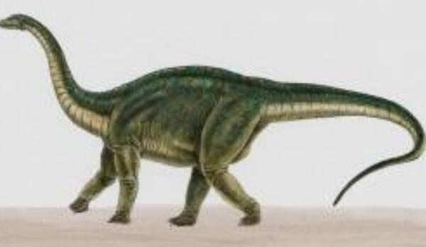 天龙：印度小型食草恐龙（长4米/距今1.9亿年前）