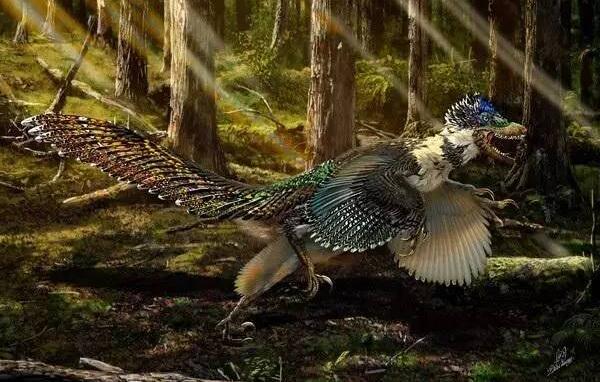 北票颌龙：辽宁小型食肉恐龙（长1.8米/距今1.2亿年）