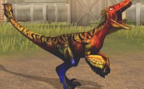 火盗龙：法国小型食肉恐龙（长2.5米/距今6500万年前）