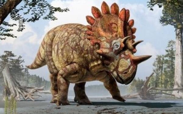 艾伯塔角龙：加拿大大型食草恐龙（长6米/7000万年前）