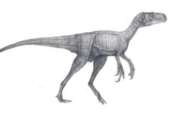 吐鲁茨龙:蒙古小型恐龙(仅1米长/处于疑名状态)
