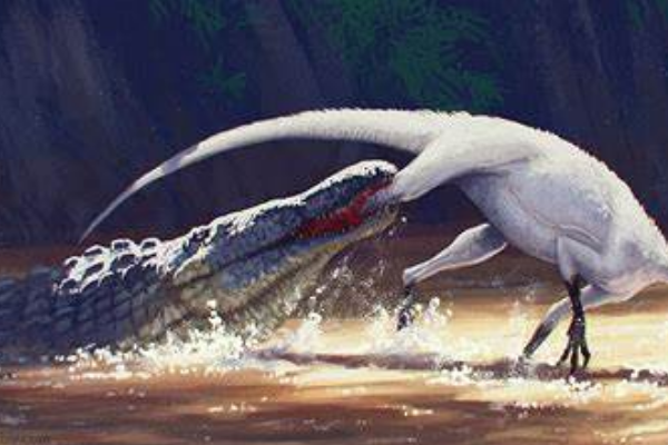 雷东达龙:大型肉食爬行类(长12米/酷似鳄鱼)