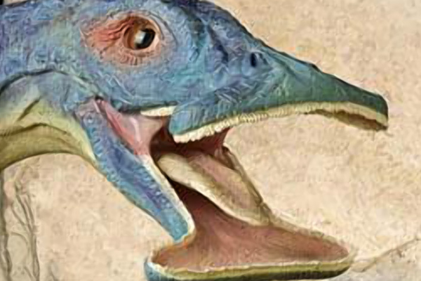 独特须齿龙:三叠纪水生爬行类(牙齿像梳子/长相奇葩)