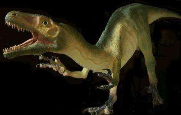 瓦尔盗龙：欧洲小型食肉恐龙（长1.8米/距今7000万年前）