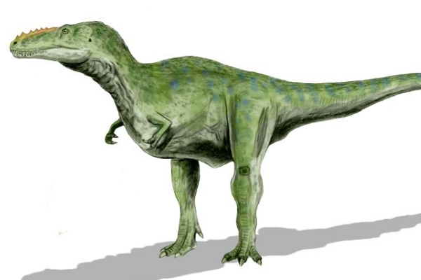 吐鲁茨龙:蒙古小型恐龙(仅1米长/处于疑名状态)