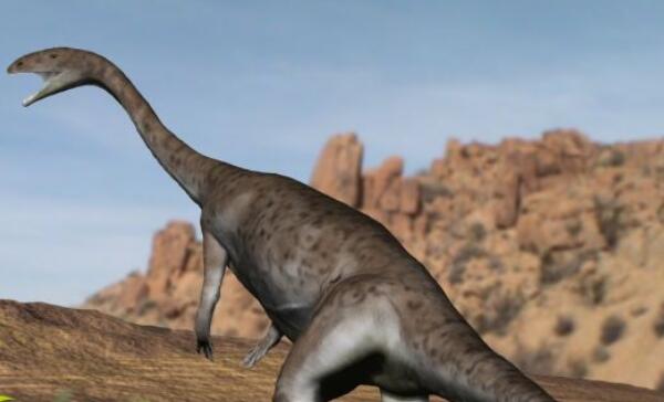 砂龙：北美洲小型杂食性恐龙（长4米/距今1.87亿年前）