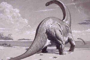 巨脚龙：印度巨型食草恐龙（长20米/距今2亿年前）