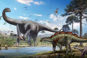 乌尔禾龙：剑龙科最后一种恐龙（长8米/距今1.2亿年前）
