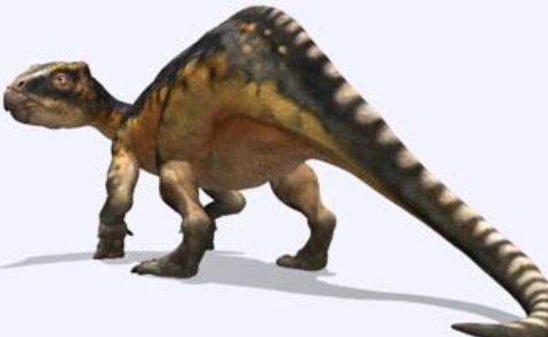 似凹齿龙：西班牙中型食草恐龙（长5米/距今6500万年前）