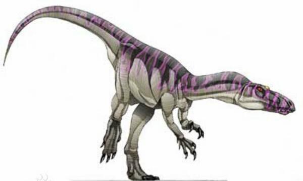 阿里瓦龙：非洲大型食草恐龙（长8米/距今2.1亿年前）