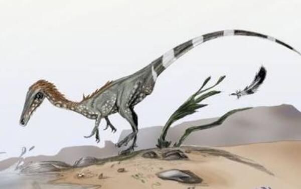 中国猎龙：中国辽宁小型恐龙（长1米/恐龙-鸟类的过度龙）
