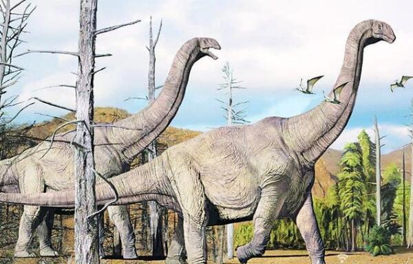 南巨龙：阿根廷超巨型恐龙（长30米/距今8800万年前）