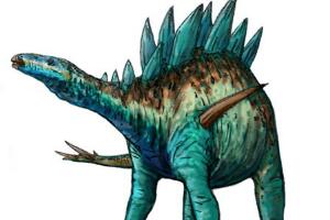 似花君龙：非洲中型食草恐龙（长5米/距今1.45亿年前）