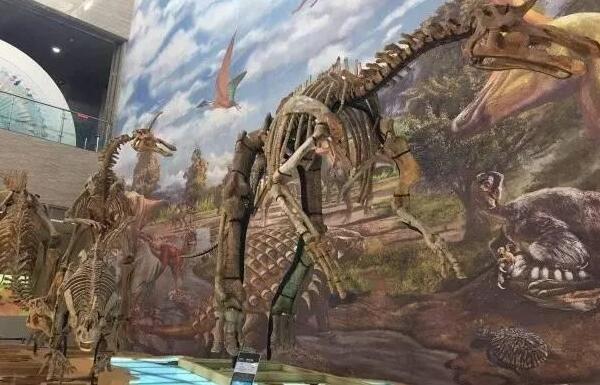 谭氏龙：中国大型食草恐龙（长9米/距今6500万年前）