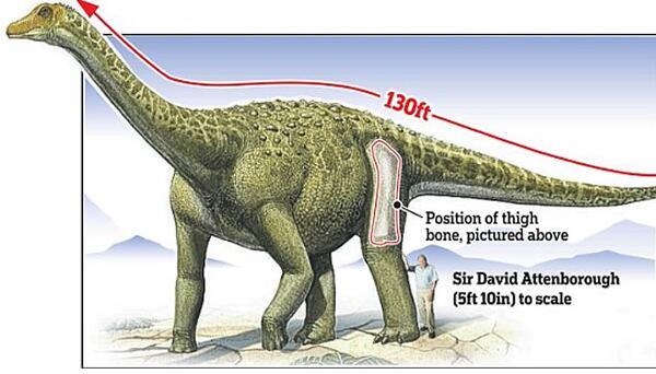 丘布特龙：阿根廷超巨型恐龙（长23米/距今9700万年前）
