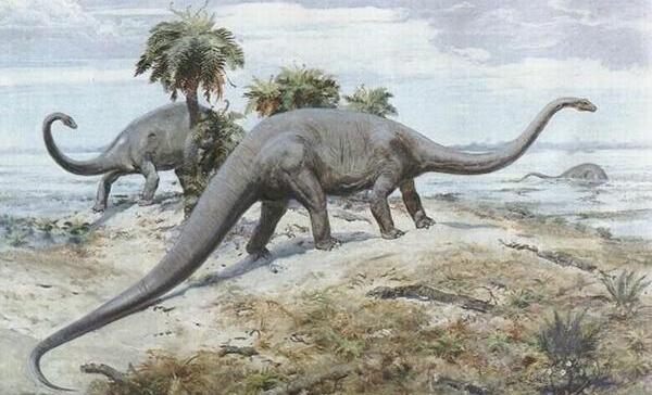 门多萨龙：阿根廷超巨型恐龙（长25米/距今8900万年前）