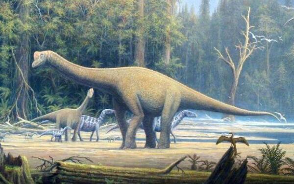 拉布拉达龙：阿根廷大型食草恐龙（长18米/6500万年前）