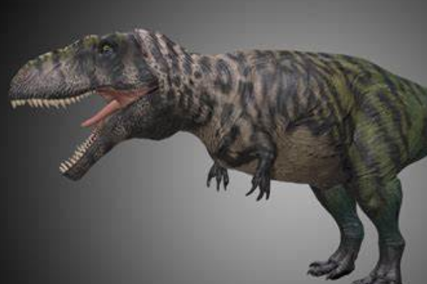 白垩纪十大最强恐龙:第一最长14.7米(拥有20万牛咬力)