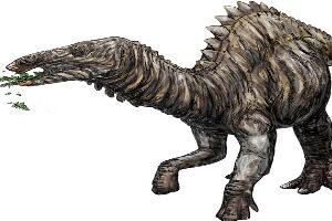 谭氏龙：中国大型食草恐龙（长9米/距今6500万年前）