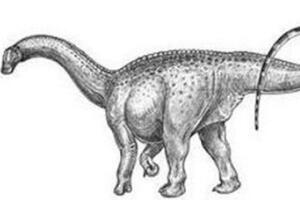 丘布特龙：阿根廷超巨型恐龙（长23米/距今9700万年前）