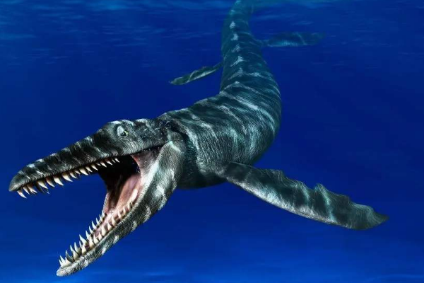 沧龙的祖先是什么动物?不足1米的蜥蜴被迫下水成霸主