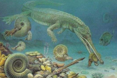 土伦阶灭绝事件:海洋缺氧证据确凿(沧龙科发展壮大)