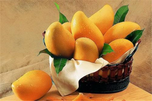 芒果不能和什么一起吃 吃芒果的禁忌很多一定多注意