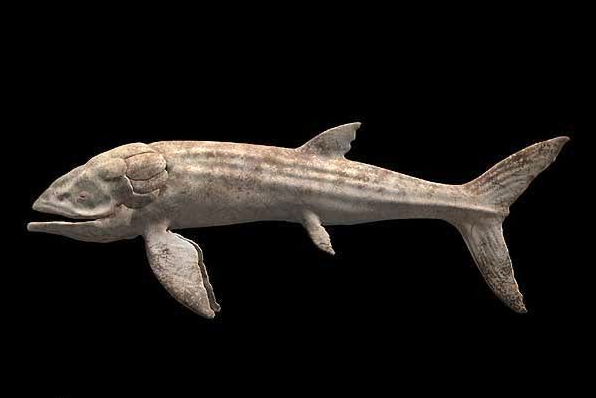 远古最大的鱼:利兹鱼，长达27米(1.65亿年前自带渔网)