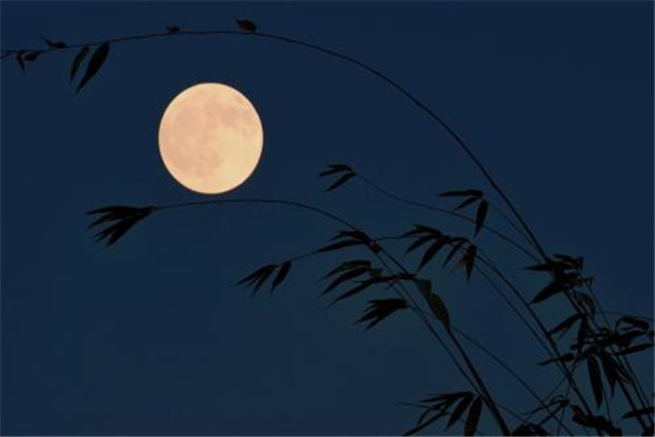 月光下的凤尾竹葫芦丝 施光南先生创造的傣族乐曲