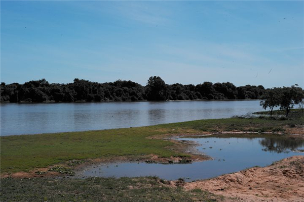 世界上最大的沼泽地 潘塔纳尔沼泽,已列入自然遗产名单