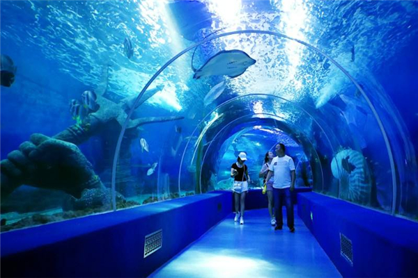 世界上最大室内海洋展馆 永泰海洋馆（海洋生物繁多）