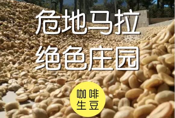 十大最好的咖啡豆：中国仅有一种咖啡豆上榜(云南咖啡豆)