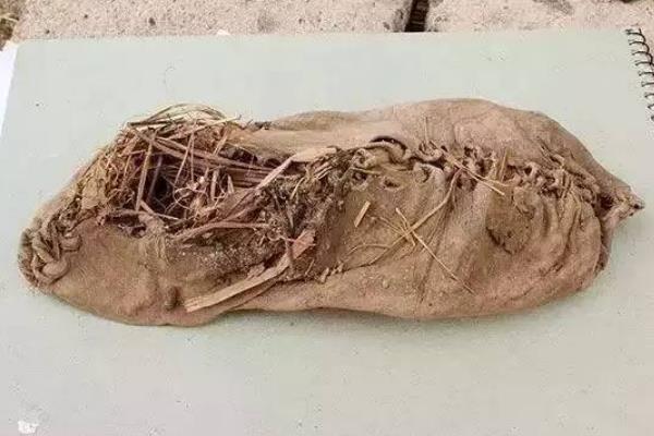 世界最古老的东西:5000年前的口香糖(由桦树皮做成)