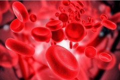 贫血是怎样引起的?体内缺少铁元素，红细胞数量减少