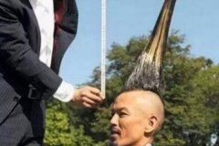 世界上最高的莫西干发型:高高耸立在头顶(全长1.18米)