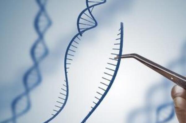 华大基因被实名举报“编辑至少58个婴儿基因”:华大基因辟谣