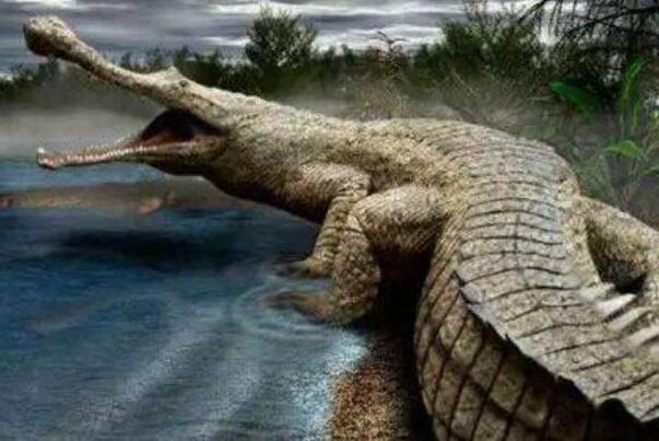 远古最大的鳄鱼:帝鳄，长达13米重11吨(撕裂小型恐龙)