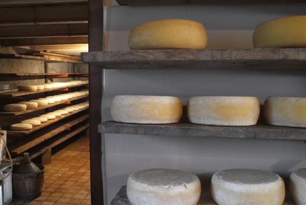 奶酪为什么那么贵 因为投入和产出不对等(制作过程繁琐)