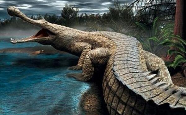 狮鼻鳄：有狮子鼻的鳄鱼，6500万年的史前生物（图片）
