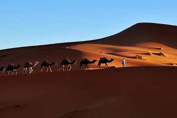 世界上最大的沙漠 位于非洲北部的撒哈拉沙漠(气候条件恶劣)