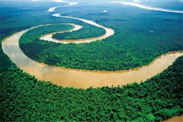 亚马逊森林的可怕之处 亚马逊雨林的气候很难适应