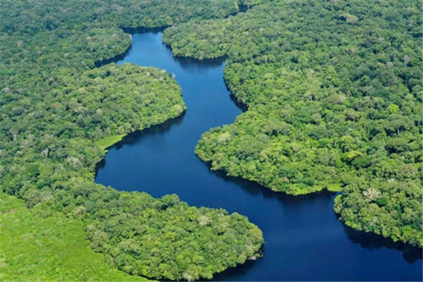 亚马逊森林的可怕之处 亚马逊雨林的气候很难适应