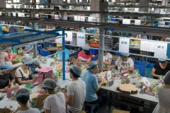 中国最大的玩具生产基地:广东省，内销和进口居前列