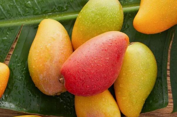 芒果的功效与作用：能够防癌抗癌的养生水果(不宜大量食用)