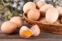 洋鸡蛋是什么：大规模产蛋（养殖场饲养）