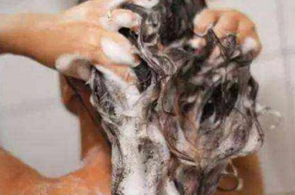长期不洗头会有什么后果：造成慢性毛囊炎(出现脱发现象)