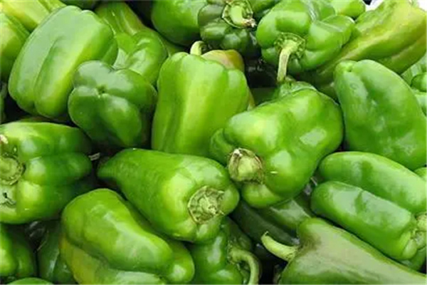青椒怎样保存到过年才新鲜：保存避免过热（五种保存方法）