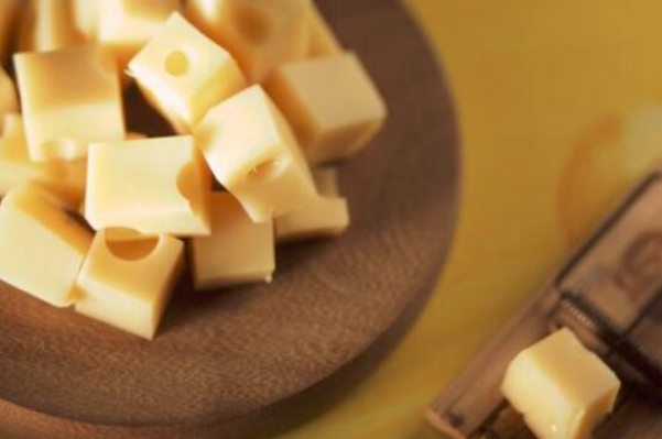 黄油和奶酪的区别：黄油是牛奶提炼物(奶酪是牛奶的营养精华)